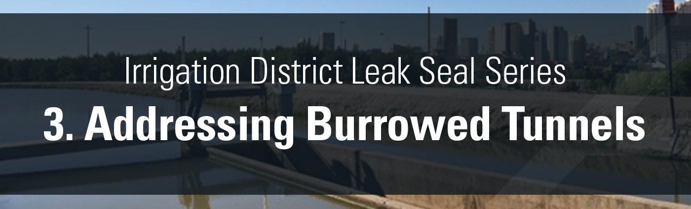 Banner - Irrigation District Leak Seal Series - 3. Addressing Burrowed Tunnels