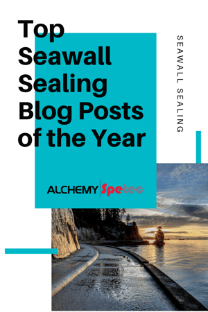 Top Seawall Sealing Blog Posts of the Year