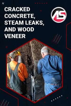 Body - Cracked Concrete, Steam Leaks, and Wood Veneer