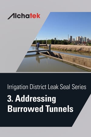 Body - Irrigation District Leak Seal Series - 3. Addressing Burrowed Tunnels