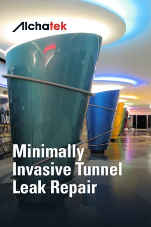 Body - Minimally Invasive Tunnel Leak Repair