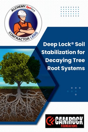 Body - Soil Stabilization for Decaying Tree Roots