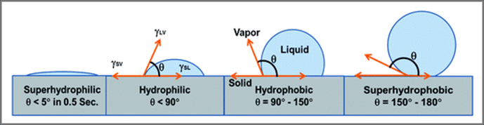 Hydrophilic vs Hydrophobic.png