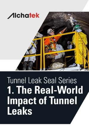 Tunnel Leak Seal Series  1. The Real-World Impact of Tunnel Leaks  Body-Graphic-800x1200