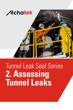 Tunnel-Leak-Seal-Series2.-Assessing-Tunnel-Leaks-Body-Graphic-800x1200