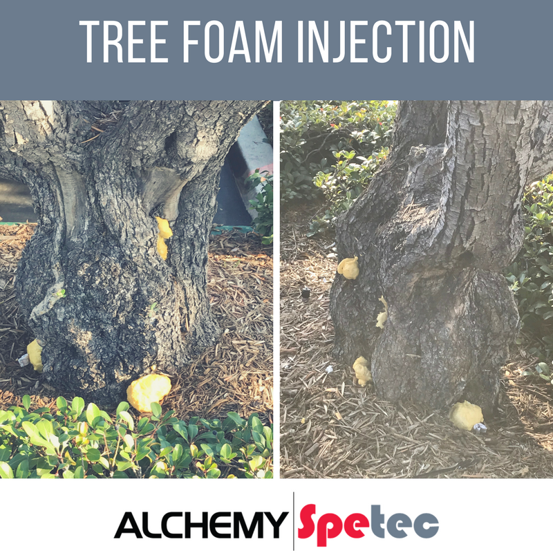 Tree Foam Injection